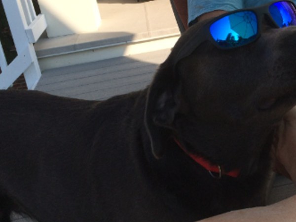 The Story of&nbsp;Jen